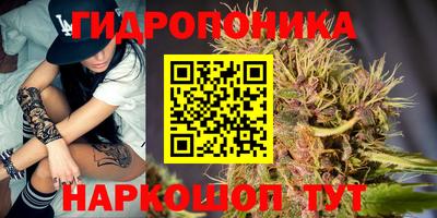 каннабис Гай
