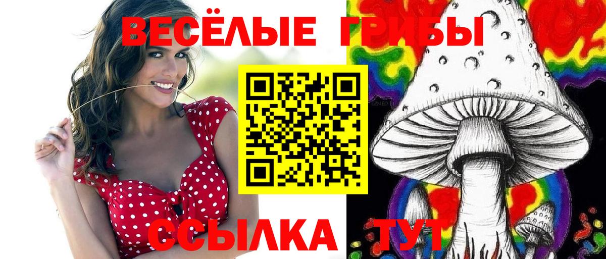 Галлюциногенные грибы Cubensis  Вход с VPN  Назарово  Псилоцибиновые грибы GOLDEN TEACHER 